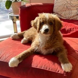 Meet your Posher, Jayme